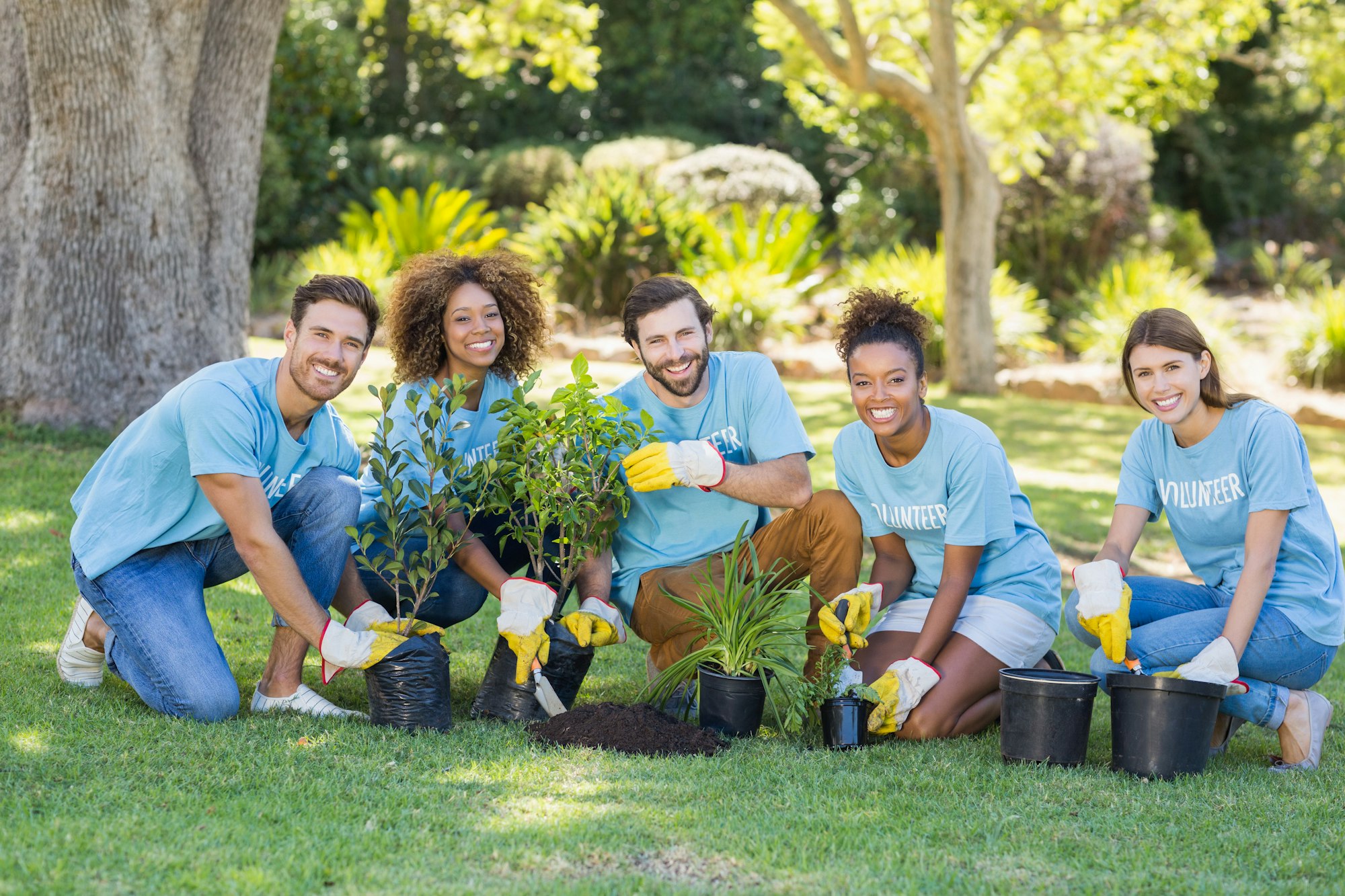 Group of volunteer planting